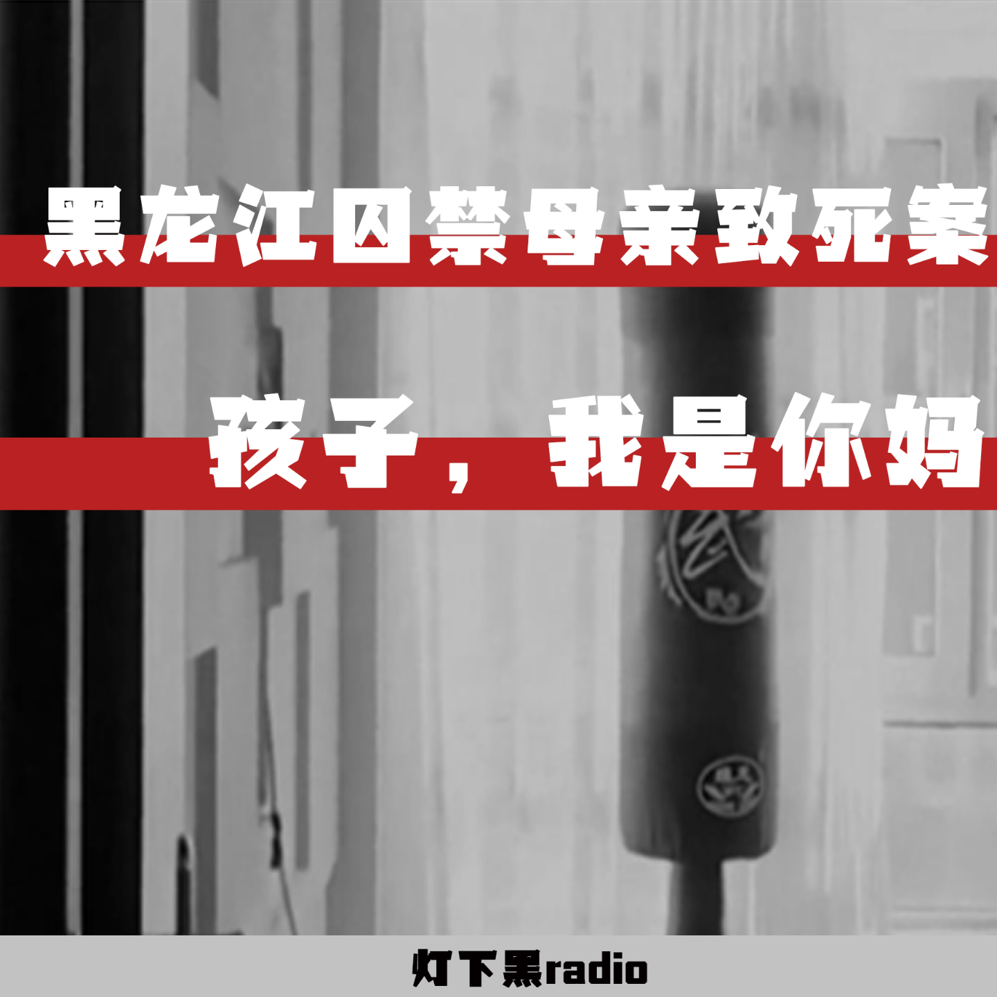 “孩子，我是你妈！”——黑龙江囚禁母亲致死案