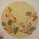 慈慈_XfoY