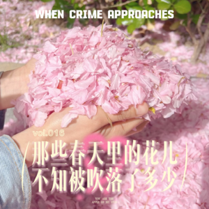EP16 那些春天里的花儿,不知被吹落了多少