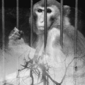 从风口到底线｜聊聊“做自己”到底意味着什么