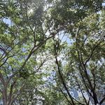 煮开水呀煮开水