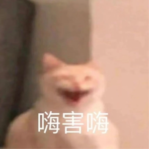 Vol.14 六一特辑上，猫病聊几样