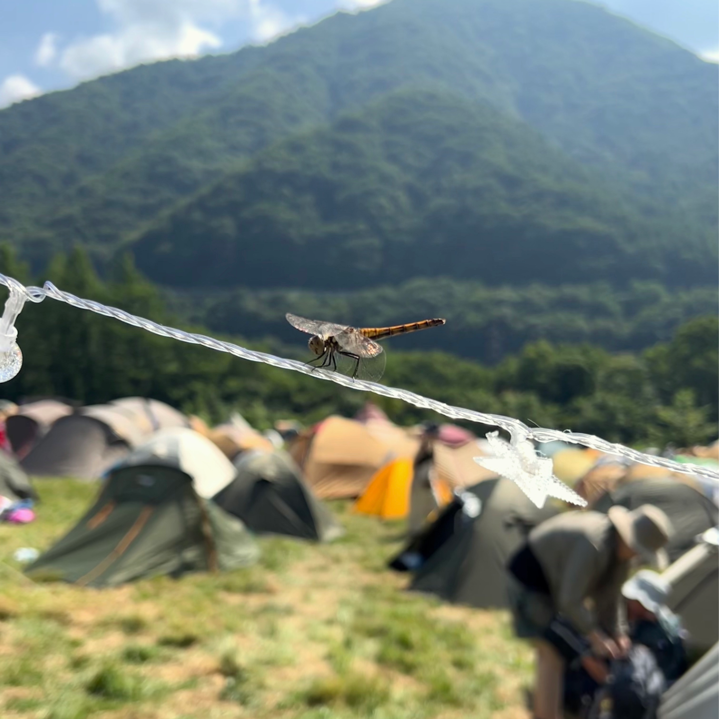 出道即巅峰,第一次露营就是在 FUJI ROCK