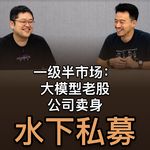 50. 一级半水下私募，字节老股，三百公司卖身？- 庄明浩