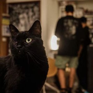 🐯54.串台！茉莉书坊：在宇宙打排球、新人生九部漫画、再会两兄弟