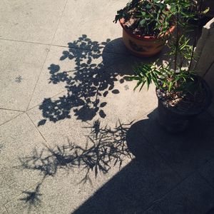 podcaster-avatar