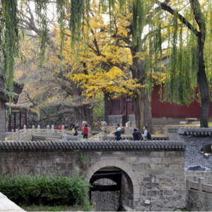 216 山西古迹 晋祠3