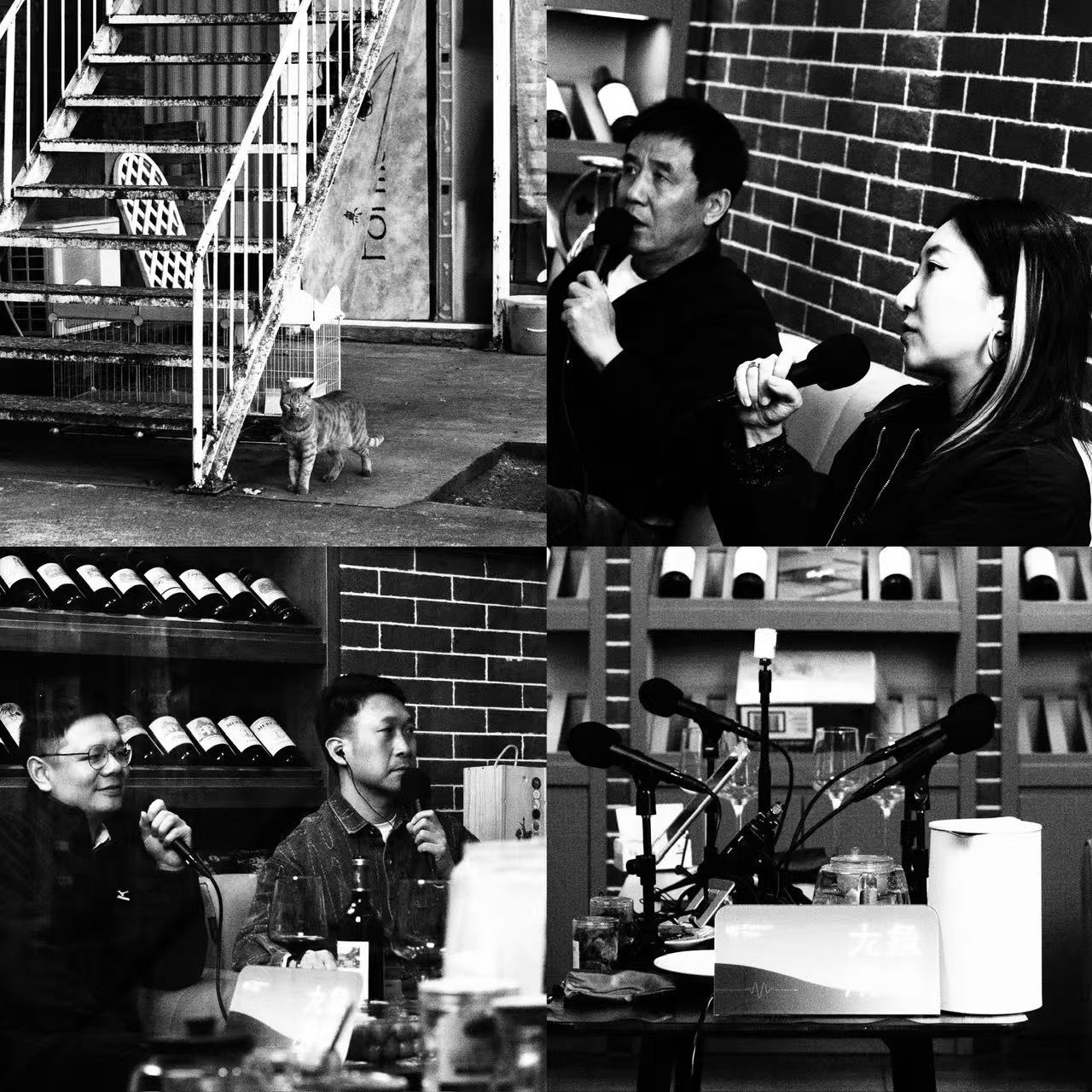 vol16 抚摸郑州的人：瓦尔特与他的城、他的胃、他的情 episode artwork