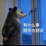 喵喵妙不可言