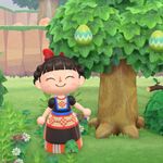 月兔不会在天琴座跳水