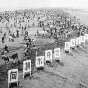 水淹团洲垸：一个向湖夺地的故事