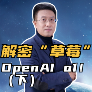 第226集 解密“草莓”o1 柏拉图表征假说！（下）