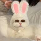 里梨子