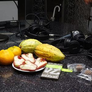 Vol.184 | 饮食新语：第一次砸开可可果，体验猴子的快乐（ft.食日谈）