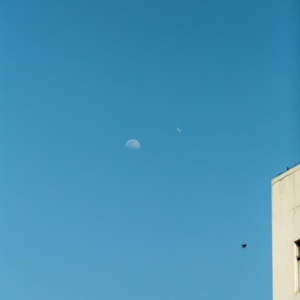 2024年就这么过去了