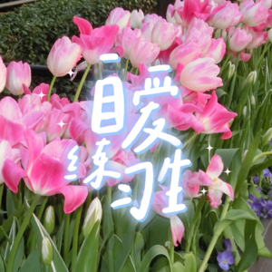 E91. 在最迷茫的年纪，如何做出不后悔的选择？听友来信