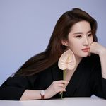 茜茜小蛋糕