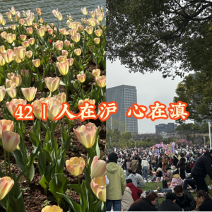 42 | 人在沪，心在滇：云南人用“野性”告诉你，什么叫灵魂晒太阳!