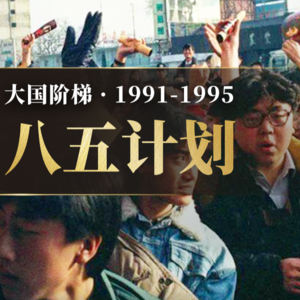 E61.1991-1995年的中国发生了什么？【大国阶梯·八五计划】