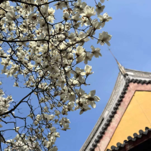 2、一个聊天局:职业发展、投资及相关