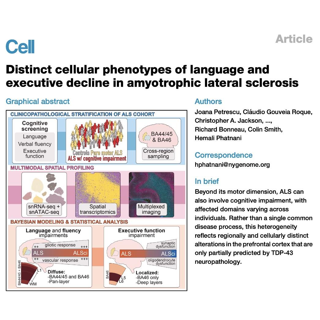 1562-Cellular Landscapes of Cognitive Decline in ALS episode artwork
