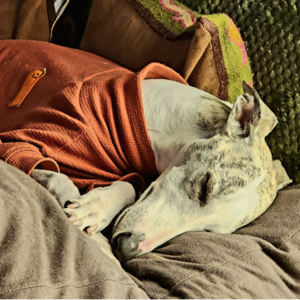 老李的房间（P1）丨知识分子的铺张童年！vol.6