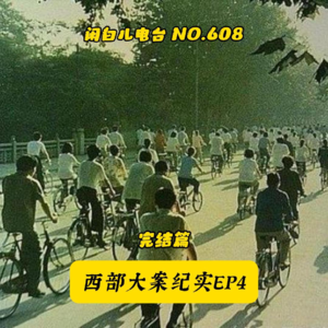 608.西部大案纪实EP4:完结篇