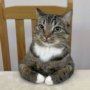 podcaster-avatar