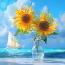 Sun_超