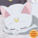 蒸汽秋葵Ss