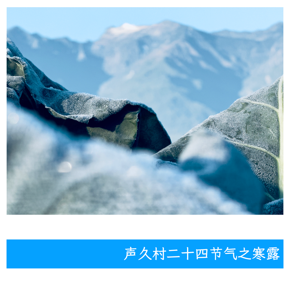声久村二十四节气之寒露——风塔秋鸣 episode artwork