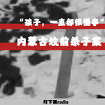“孩子，一直都很懂事”——内蒙古坟前杀子案