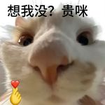 我不爱播客还能爱什么