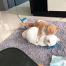 似睡似醒的躯壳