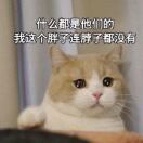 xxxiaodanni
