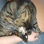 一小段失去功能的神经元