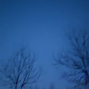 p1 “背篓专线”意味长