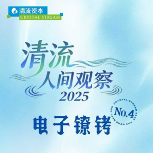 清流人间观察2025 | 第4期《装备党的“电子镣铐”》