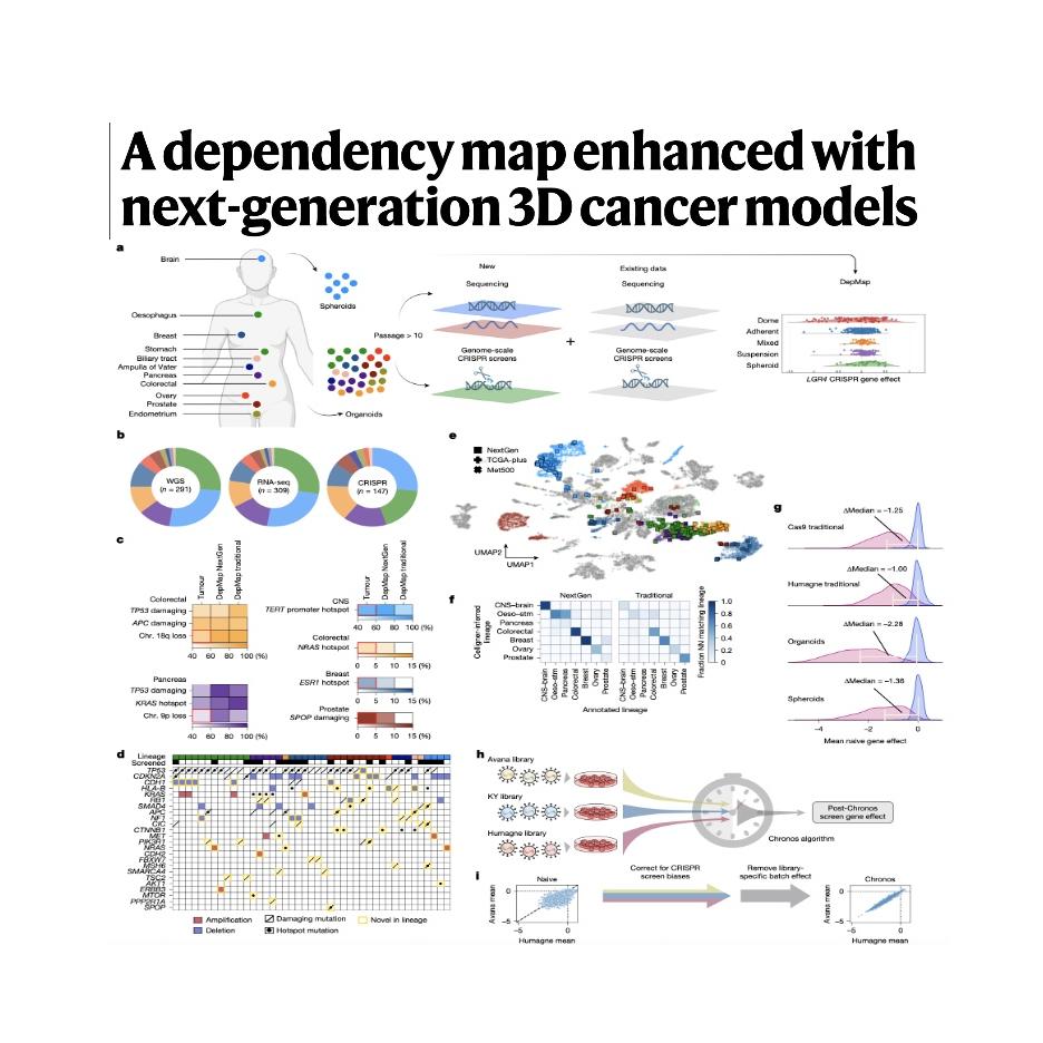 1535-NextGen DepMap: A 3D Cancer Model Dependency Resource episode artwork