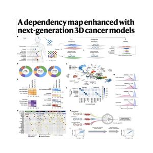 1535-NextGen DepMap: A 3D Cancer Model Dependency Resource