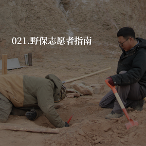 021.“我辞职去认豹子了”|一个普通人的野保之路