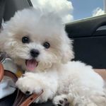 陈丢丢_0Tky