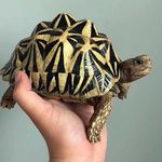 客观观客