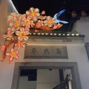 06. 回国，一趟眼泪之旅
