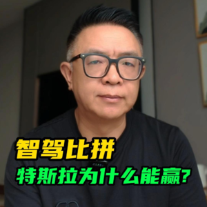 懂车帝智驾测试2: 特斯拉，凭啥？