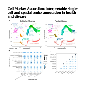 115-Cell Marker Accordion: interpretable single-cell
