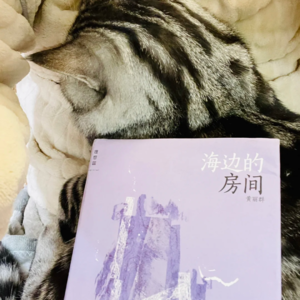 黄丽群作品与台湾文学界漫谈