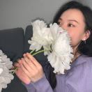 Dolly_qED0