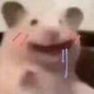 猹猹拿叉找茬