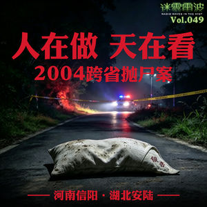 Vol.049 | 人在做 天在看：2004跨省抛尸案